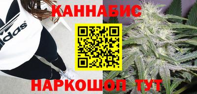 скорость Бийск
