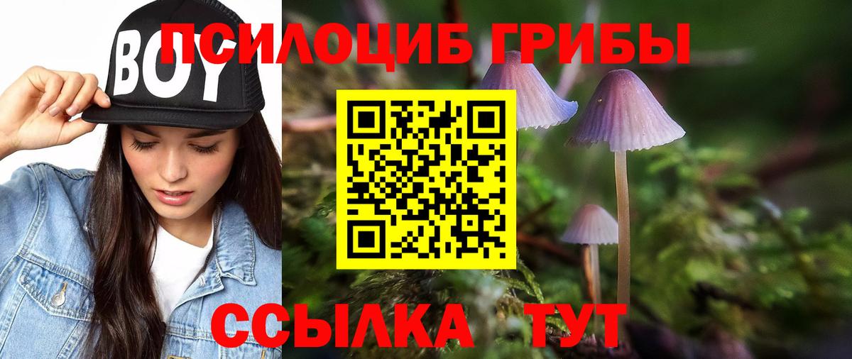 Жуковский  Галлюциногенные грибы Psilocybe  Вход с VPN 